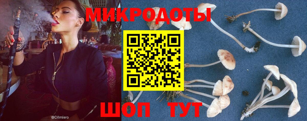 Псилоцибиновые грибы GOLDEN TEACHER  Вход с VPN  Полысаево 